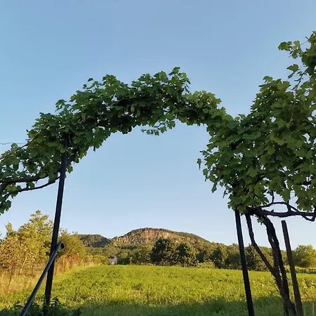 Feriehus Bencze Pincze Badacsony Hill