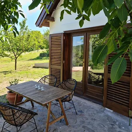 Bencze Pincze Badacsony Hill Holiday home