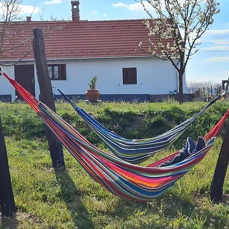 Holiday home Bencze Pincze Badacsony Hill