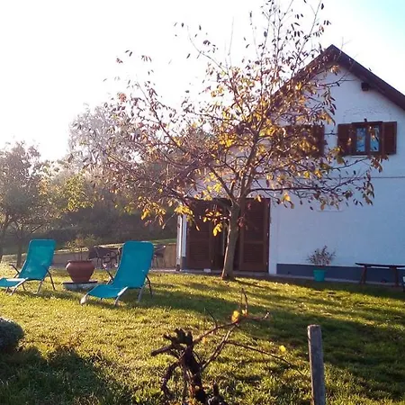 Bencze Pincze Badacsony Hill