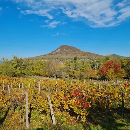 Bencze Pincze Badacsony Hill Feriehus