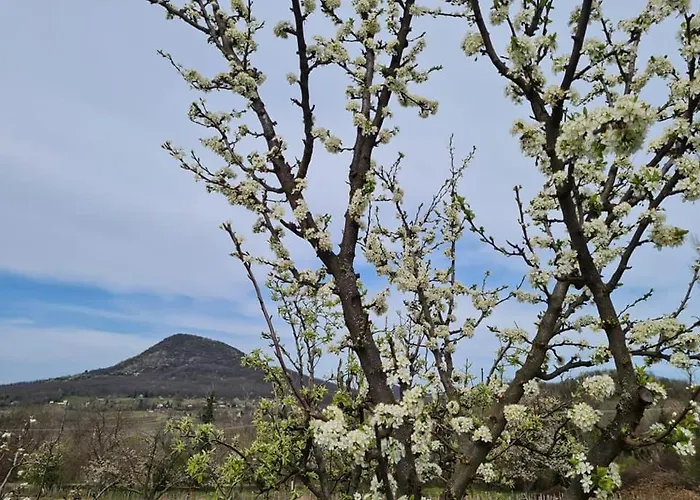 Bencze Pincze Badacsony Hill Prázdninový dům