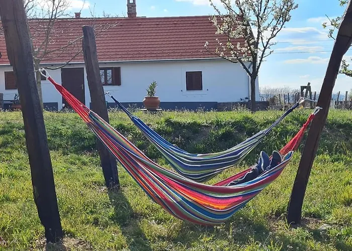 Prázdninový dům Bencze Pincze Badacsony Hill